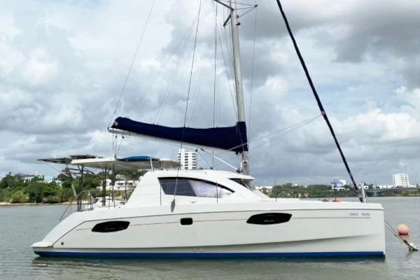 leopard39